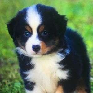 Meet your Posher, Marisa